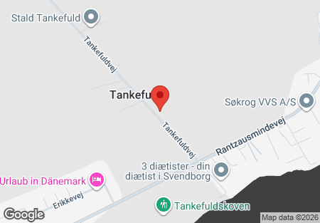 Tankefuldvej 30 Svendborg